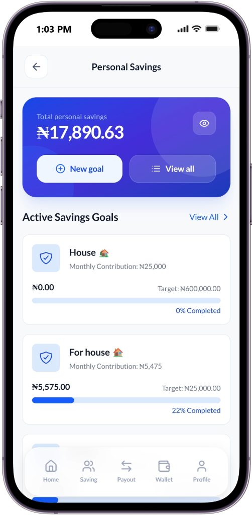 Personal Savings Dashboard Screen